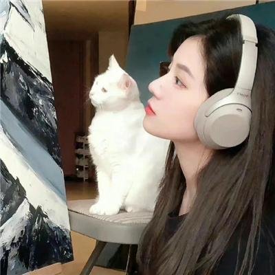 伊拉克碎片